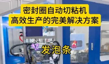 「视频」密封圈自动切粘机，高效生产的完美解决方案