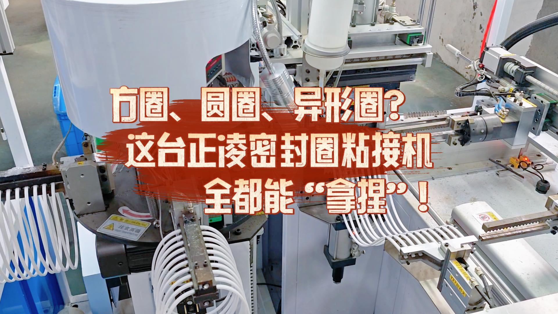 方圈、圆圈、异形圈?这台全自动化密封圈粘接机全都能“拿捏”!